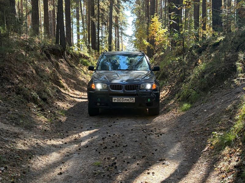 BMW на лесной грунтовой дороге